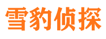 浦东小三调查